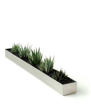 Fruit Trough by Gus* Modern