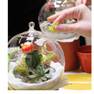 Build Your Own Eco Orb Workshop