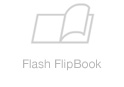 View Flash FlipBook